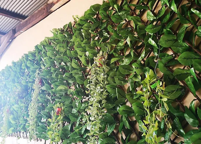 D​ Luck​ Hostel