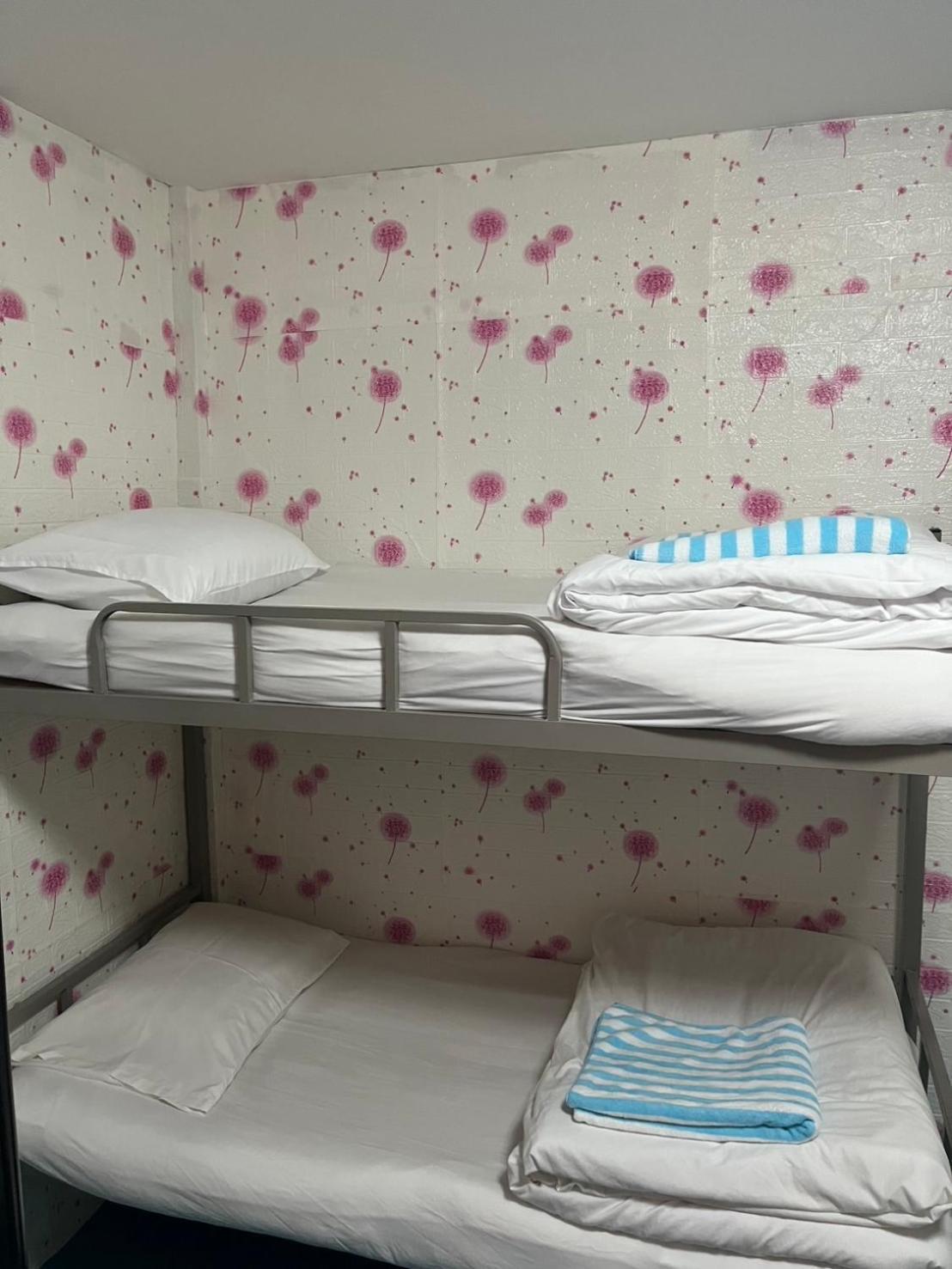 Hostel D​ Luck​ *